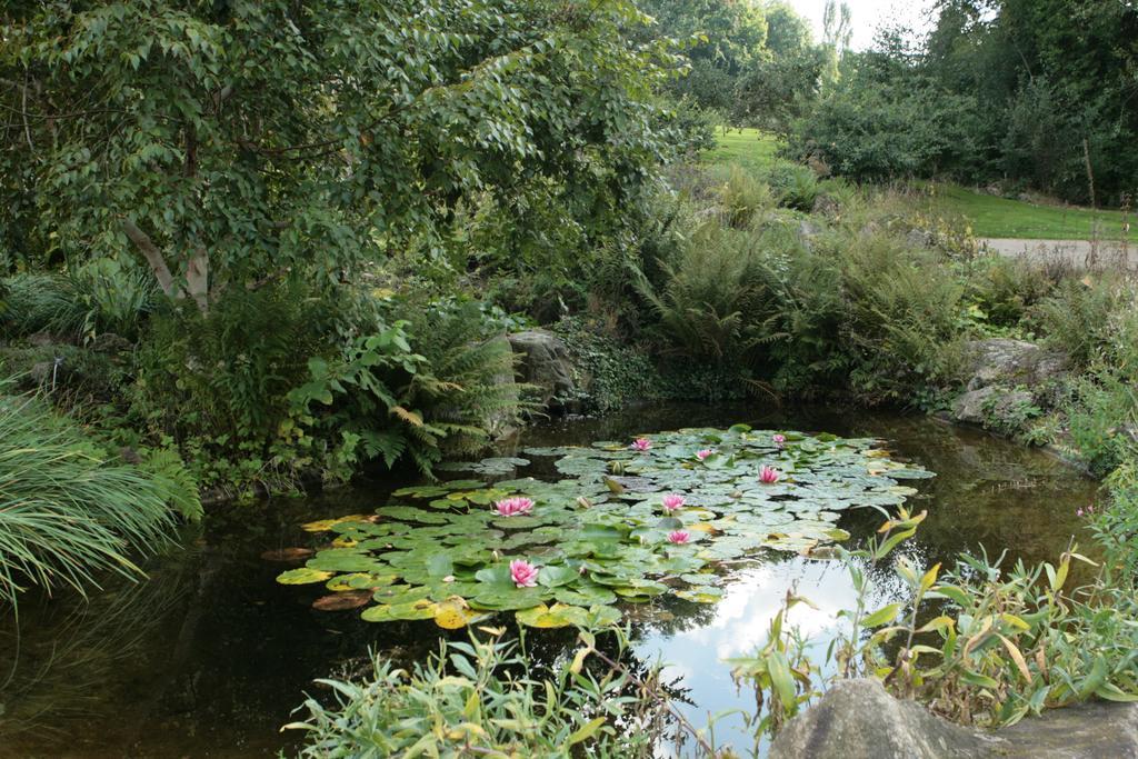 Les Suites De Catherine, La Si Calme Nancy Buitenkant foto